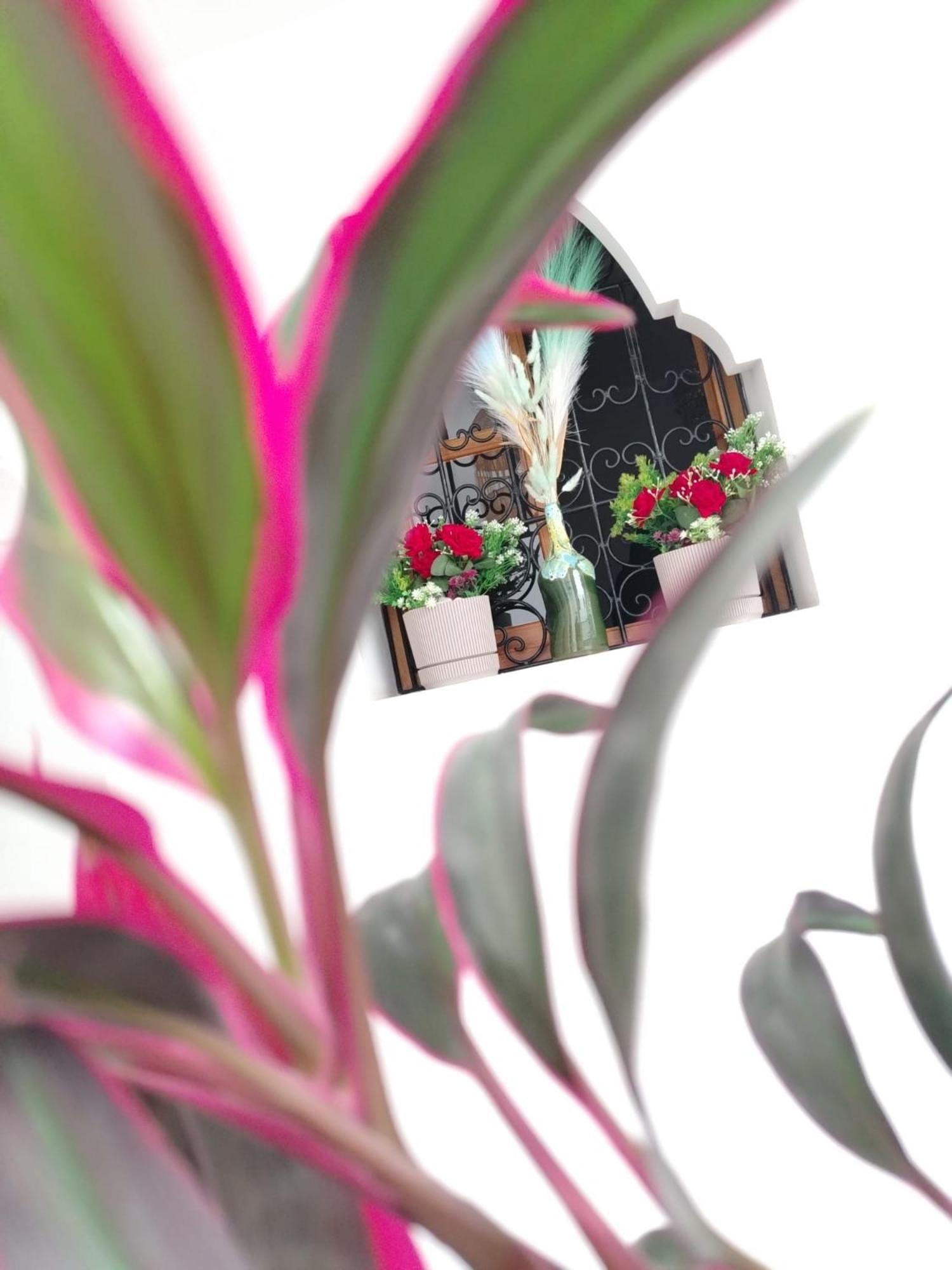 Riad & Spa Sous Le Soleil Chez Jerome & Pamela Suite Essaouira Marrakesch Exterior foto